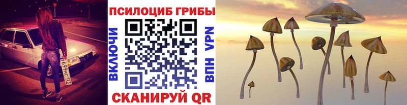 Галлюциногенные грибы Psilocybine cubensis  Купить где  Харабали 